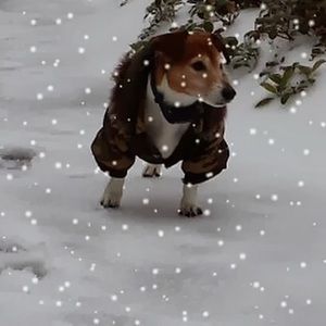 Meet your Posher, Ashley king